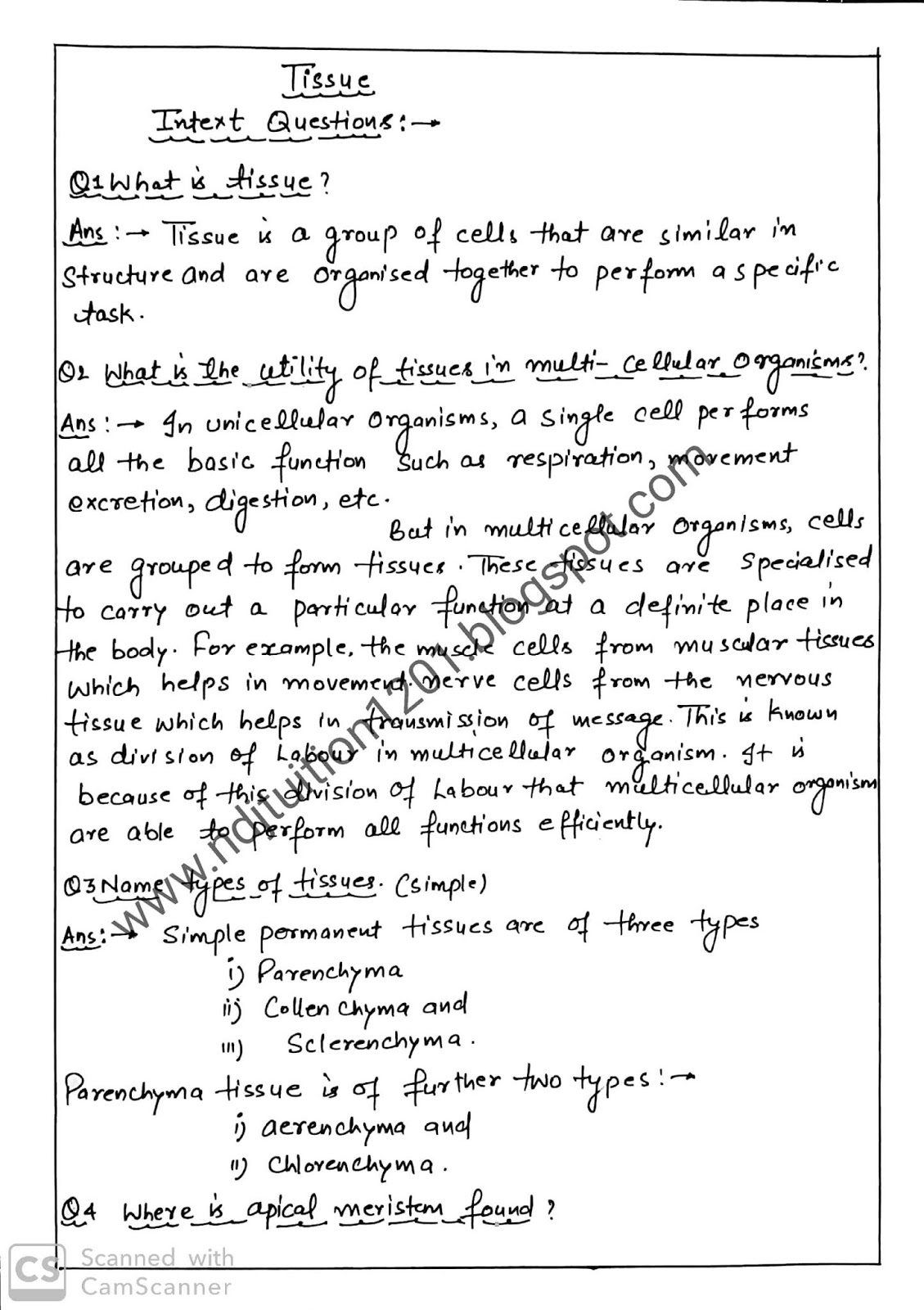 Tissue Class 9th Science Handwritten Notes