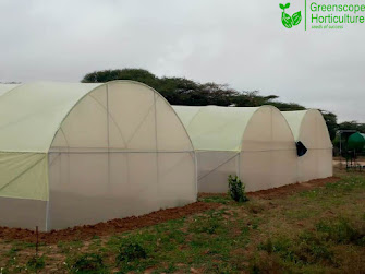 Metallic Greenhouse In Kenya