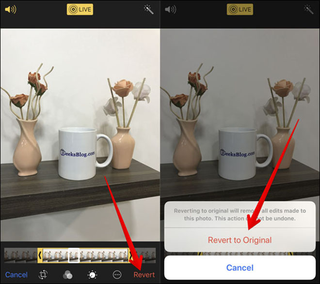 Thủ thuật iOS 11: Tuyệt chiêu "chế biến" ảnh Live Photo trên iPhone - 4