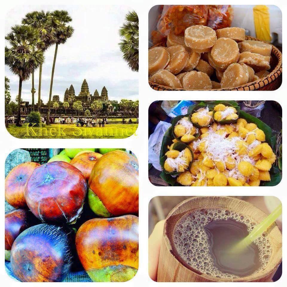 Culturally diverse Cambodia Palm sugar