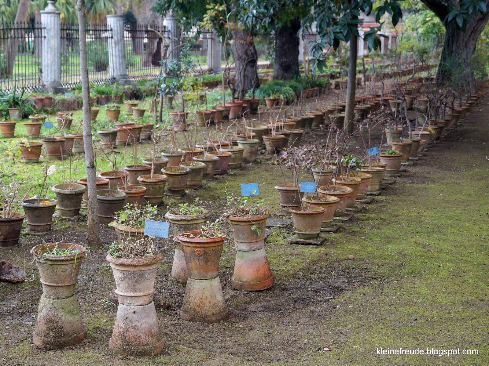 kleine freude Botanik oder was?
