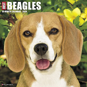 Just Beagles 2018 Calendar