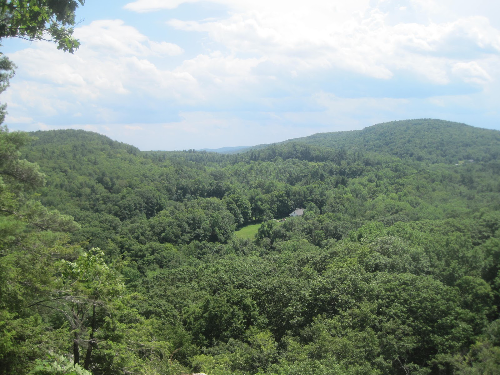 Mt.Tom Billy Goat 2 Chapel Brook Reservation Ashfield Ma. Ashfield