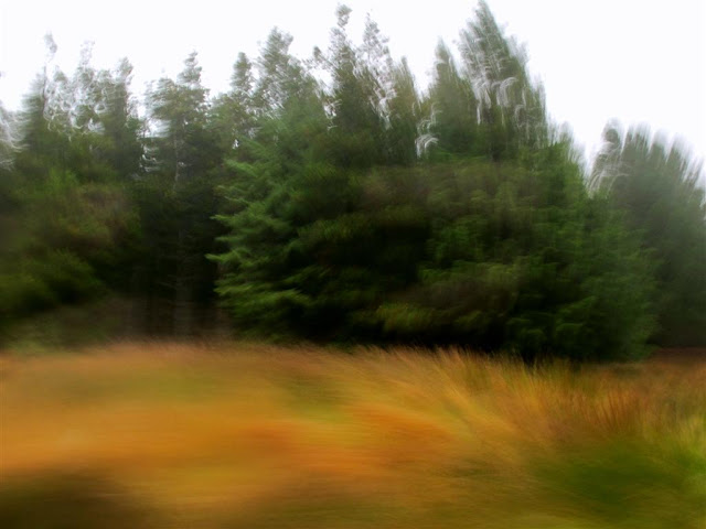 Moody weather© Annie Japaud 2013, motion photography, blog, photography, landscape, original, abstract