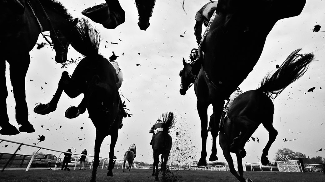 UpInClass Horse Racing (Blog) UpInClass Horse Racing Forum
