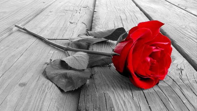 Happy Valentine Day Images for lovers Happy Valentine Day Images for lovers