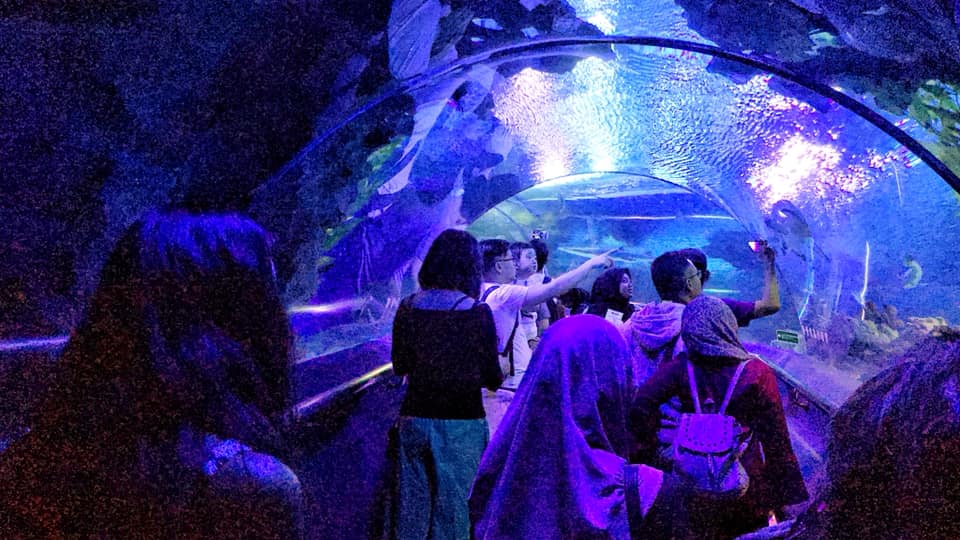 Bawa Anak Ke Aquaria KLCC