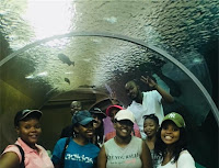 Team Building Johannesburg