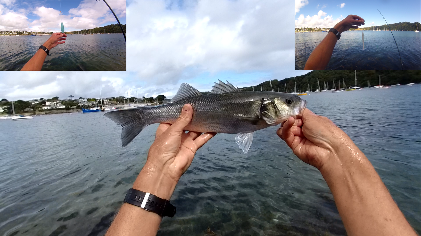 Cornish Shore and Kayak Fisherman: Bass Fishing with a Bombarda Float and a  Red Gill Sandeel Soft Lure