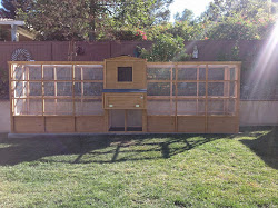 coop coops garden chicken custom backyard crazy flat orange county treated run roof attention center ib areas wired were open