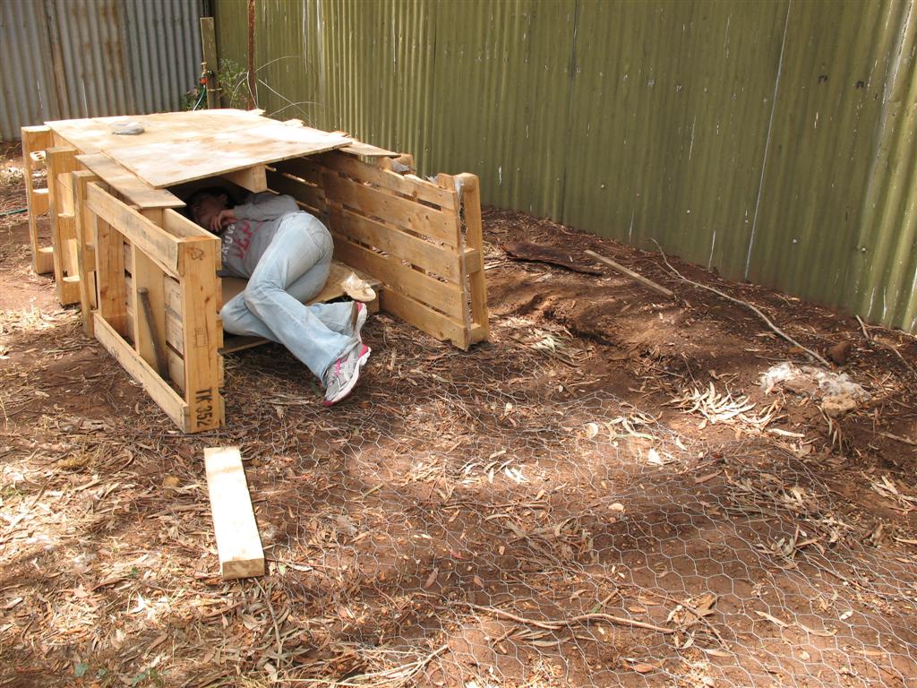 At Home with Kristy How to build a very cheap duck house