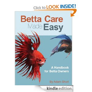 Betta Fish Care