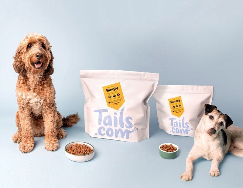 ABOUT "DOG🐕 FOOD COMPANY"