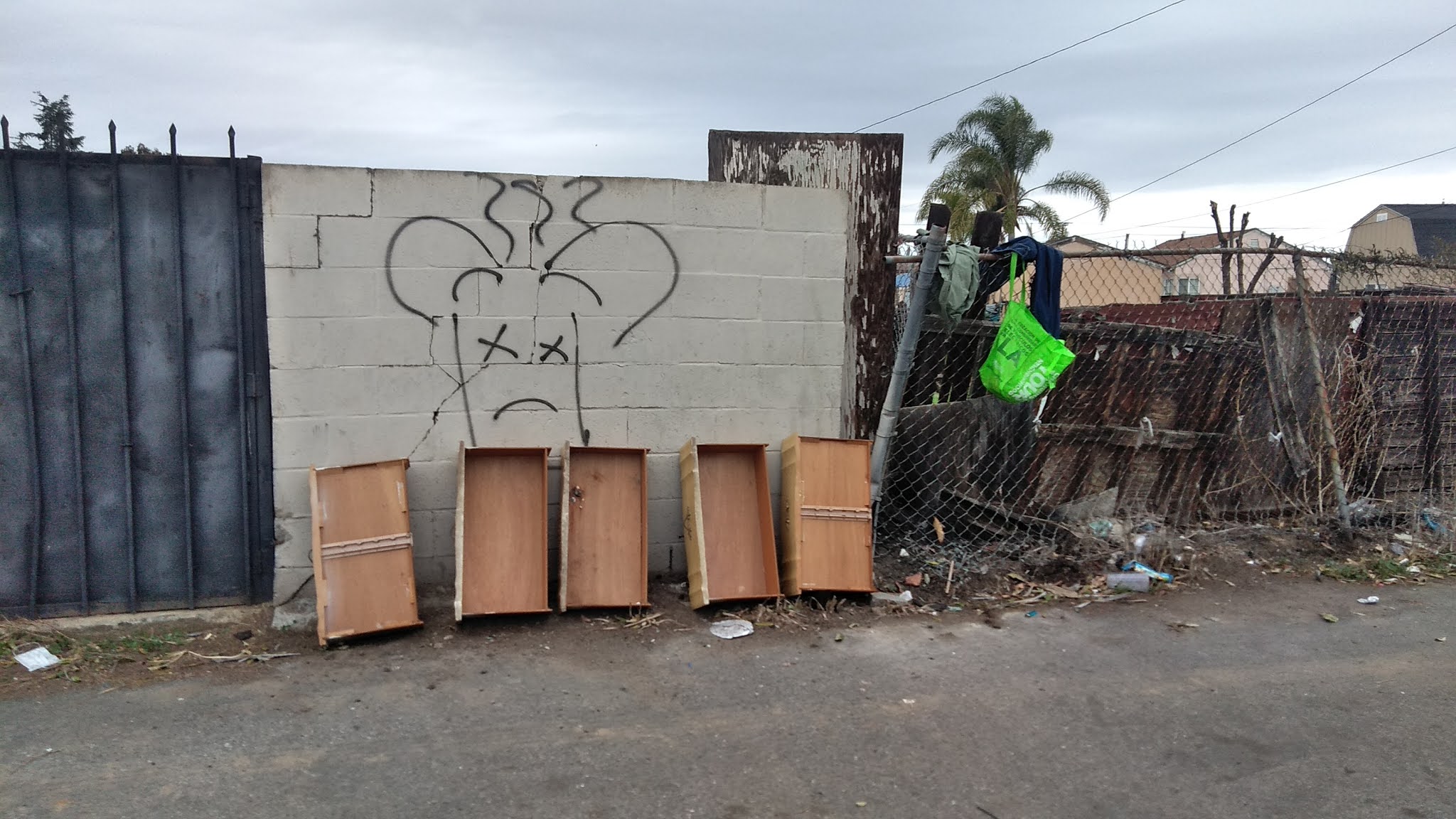 blood gangs graffiti Campanella park piru ( compton )