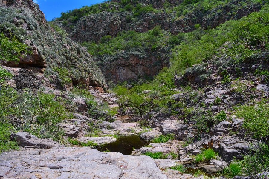 Pozo Grande de Ambargasta en el Dpto. Ojo de Agua atesora un hermoso