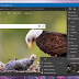 كيفية الإبلاغ عن موقع خطير في Chromium Microsoft Edge كيفية الإبلاغ عن موقع خطير في Chromium Microsoft Edge