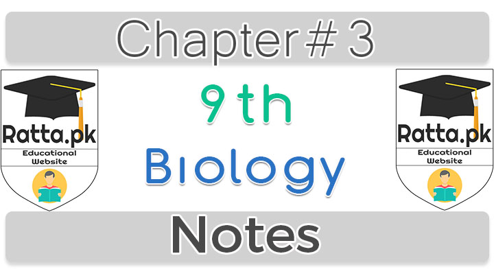 9th Biology Chapter 3 Biodiversity Notes