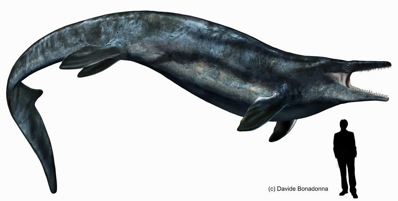 My Prehistoric Saga: Dino Bios: Mosasaurus.