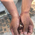 Criminosos armados fazem arrastão, ameaçam e amarram casal dentro de casa