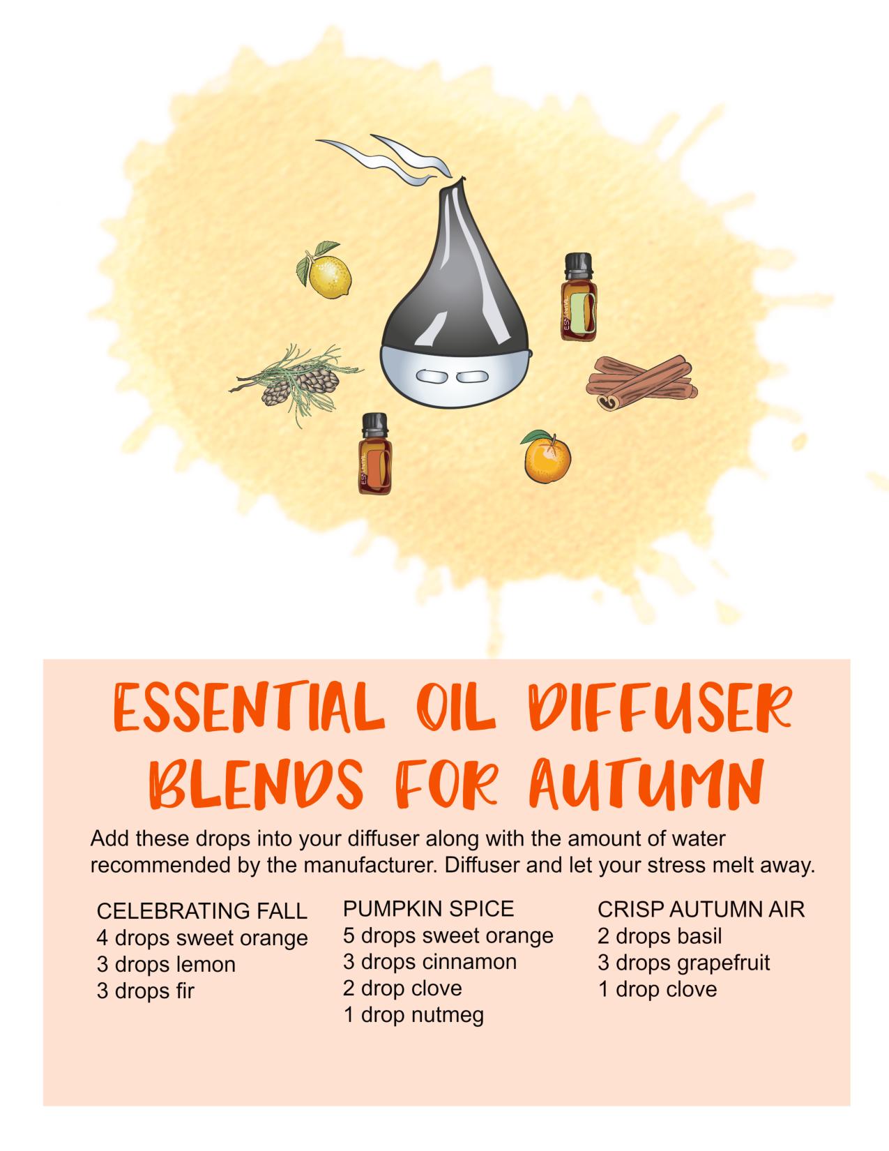 DIY Autumn Spice Essential Oil Blend Recipe - Ben and Me