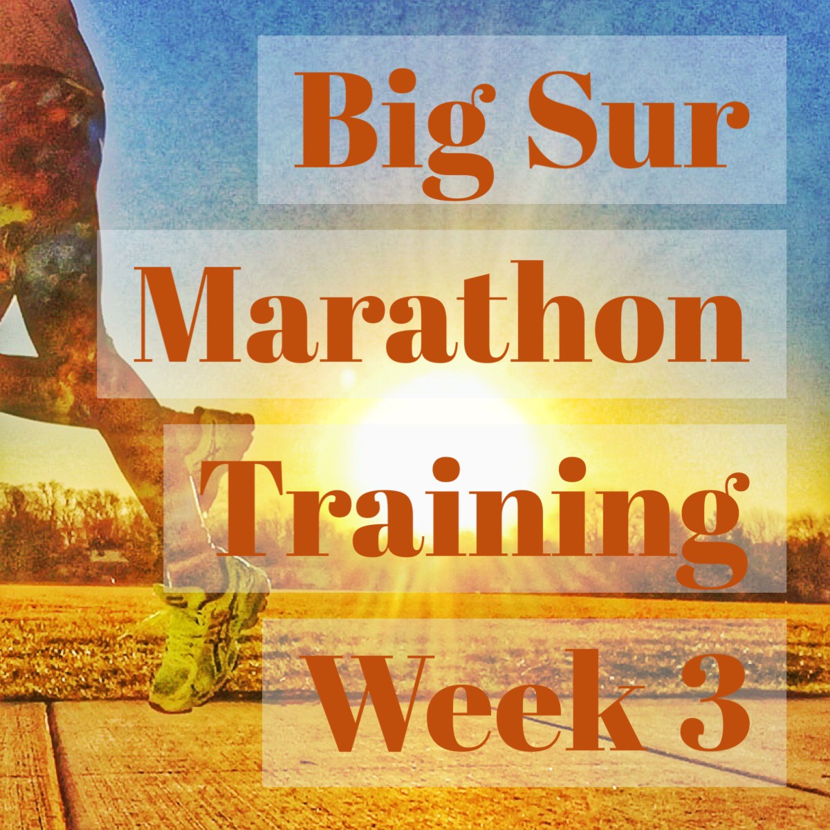 Big Sur Marathon Training Week 3
