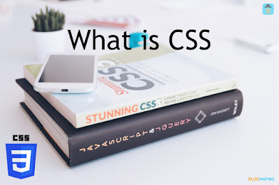 CSS Language: Basics Guide For Beginners