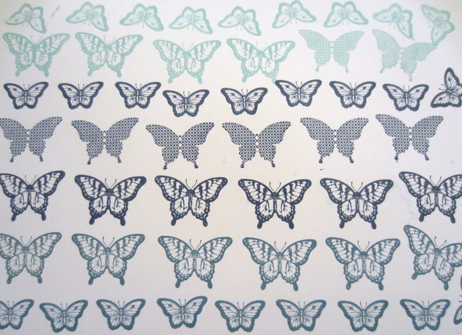 Schmetterlingsbilder Kostenlos: Farbenfrohe Freude für Jung und Alt!