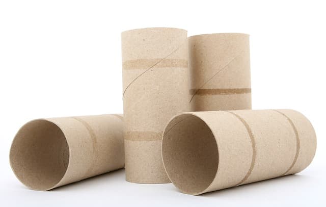 empty toilet paper rolls