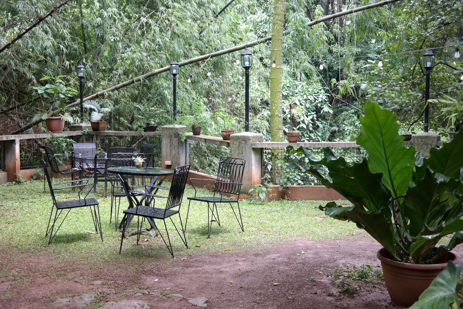 Sand Under My Feet: Burrow Café: Underground Hidden Haven ...