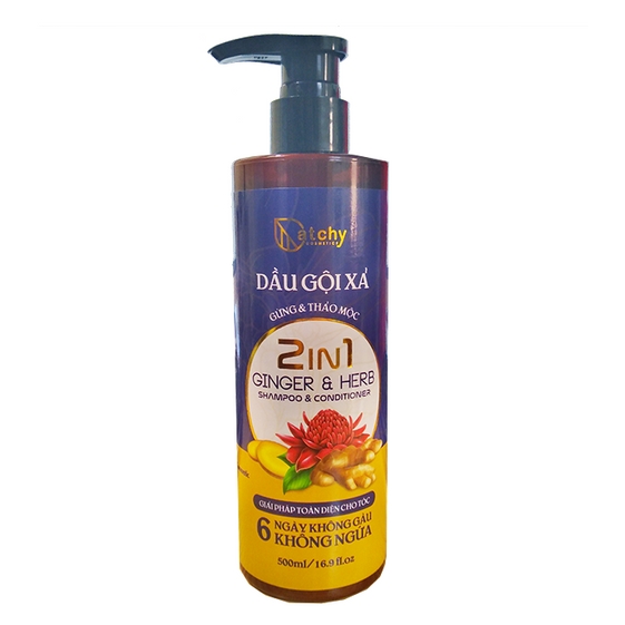 DẦU GỘI XẢ GỪNG 500ML – CATCHY