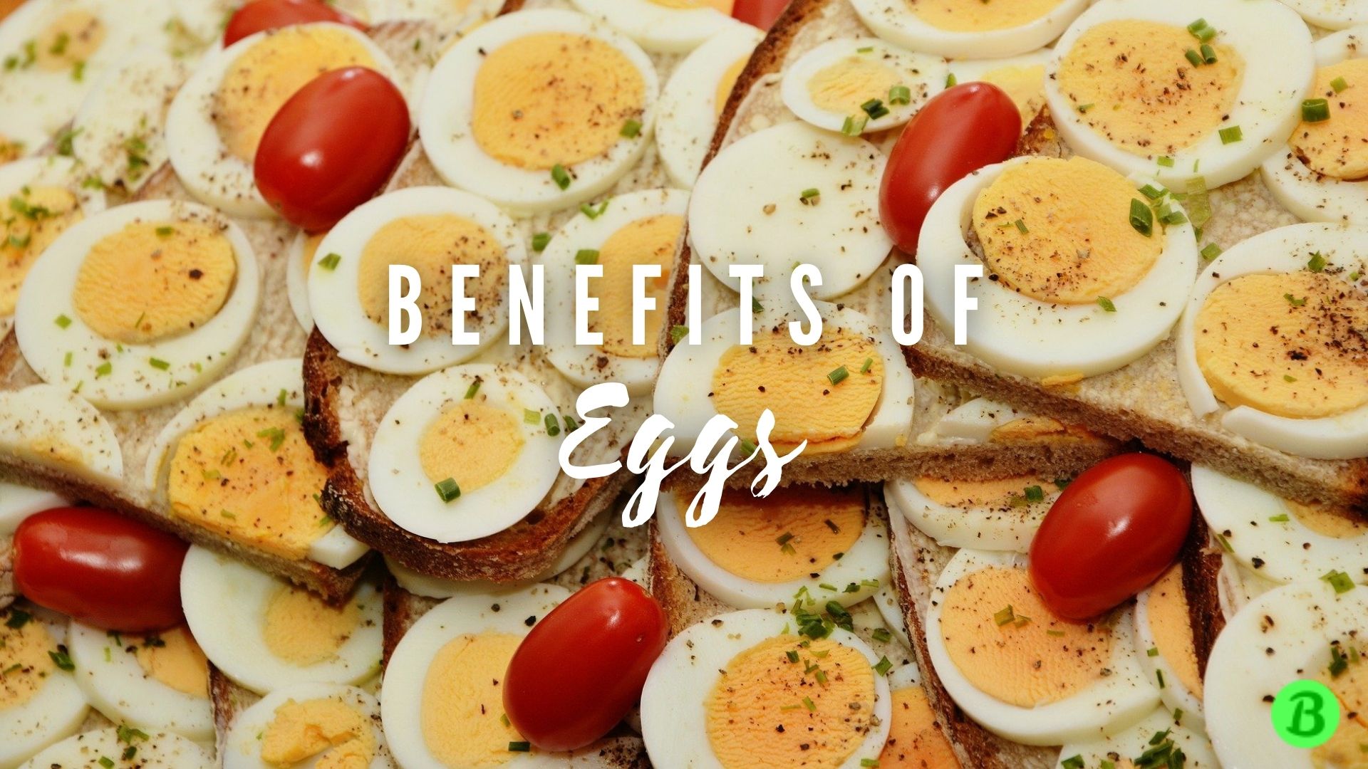 Is Egg Good for You? Find The Top 6 Benefits of Eggs Here! Bunch Benefits