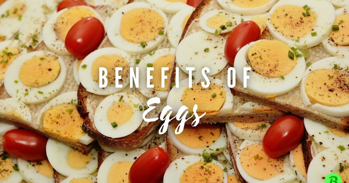 Is Egg Good for You? Find The Top 6 Benefits of Eggs Here! Bunch Benefits
