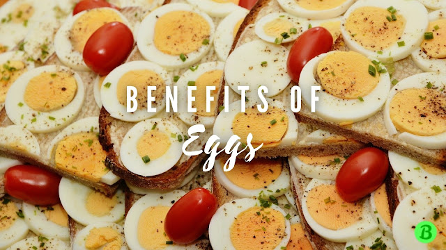 Benefits of Egg