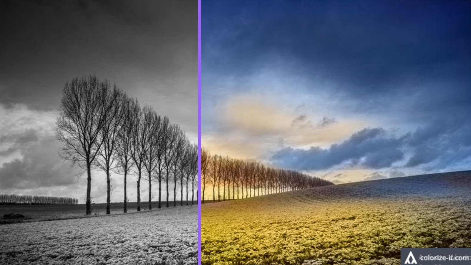 Convert Any Black and White Picture Into Color in 1 Second How to Color Any Black and White