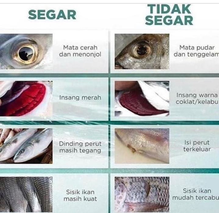 Tips Memilih Ikan Nila Segar di Pasar