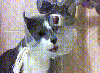 Marras Stuff: 99 Gifs Volumen 14 (Impresionantes, raros, divertidos y ...