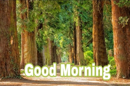 Good morning Images Good morning Images