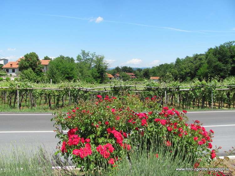 Dutovlje Slovenija, Kras, Primorska
