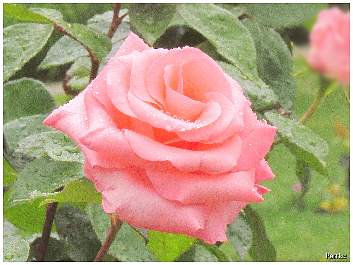 Mathematik Mit Toilettenpapier Mein Blog Uber Alles Zwischen