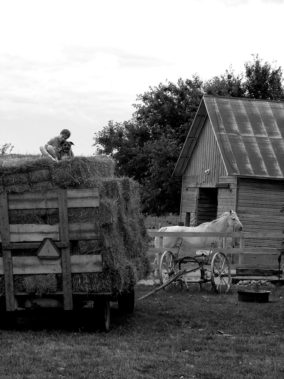 Even I don't remember these old time haying days. | Farm life, Down on