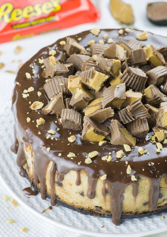 Chocolate Peanut Butter Cheesecake Easy Recipes for Yummy Food