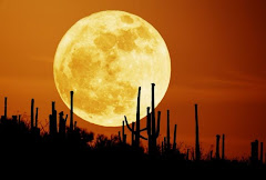 Luna en el desierto