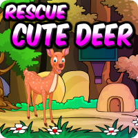 AVMGames Rescue Cute Deer Walkthrough