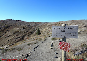 Boundary Trail Hummocks #229 