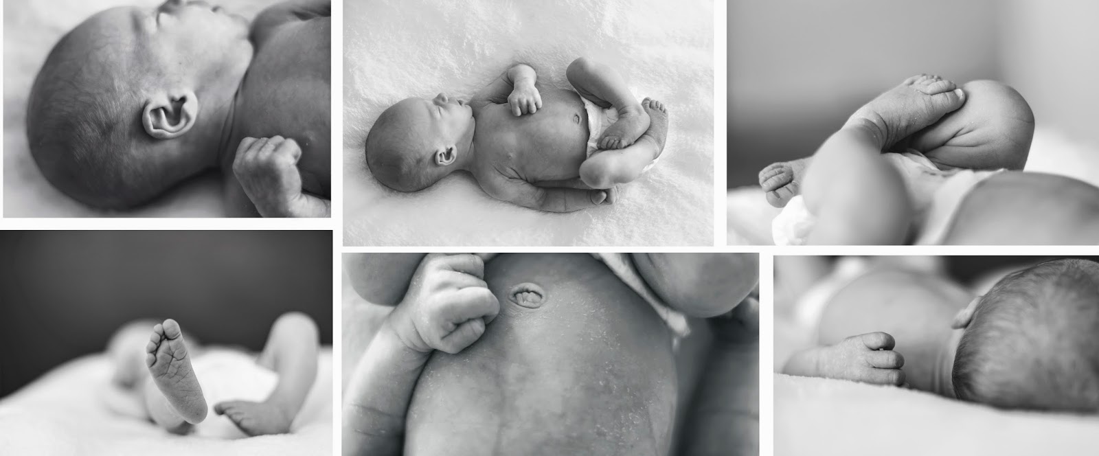the sweetest little things. j&h photography