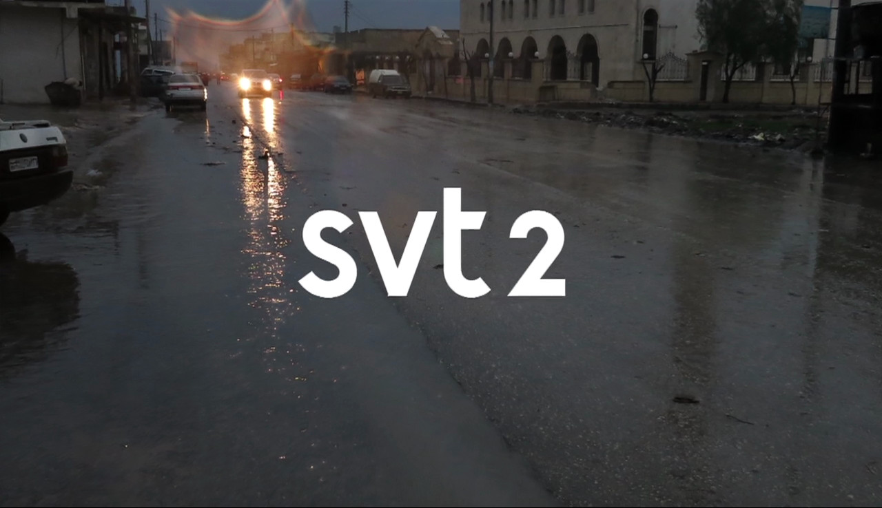 The Branding Source: Minimalist graphics for SVT1 and SVT2