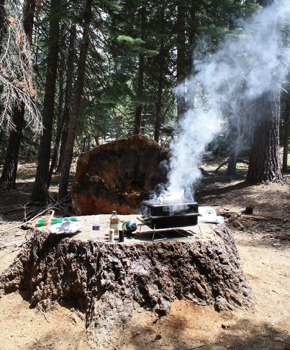 Living and Dyeing Under the Big Sky Picnic in Yosemite National Park