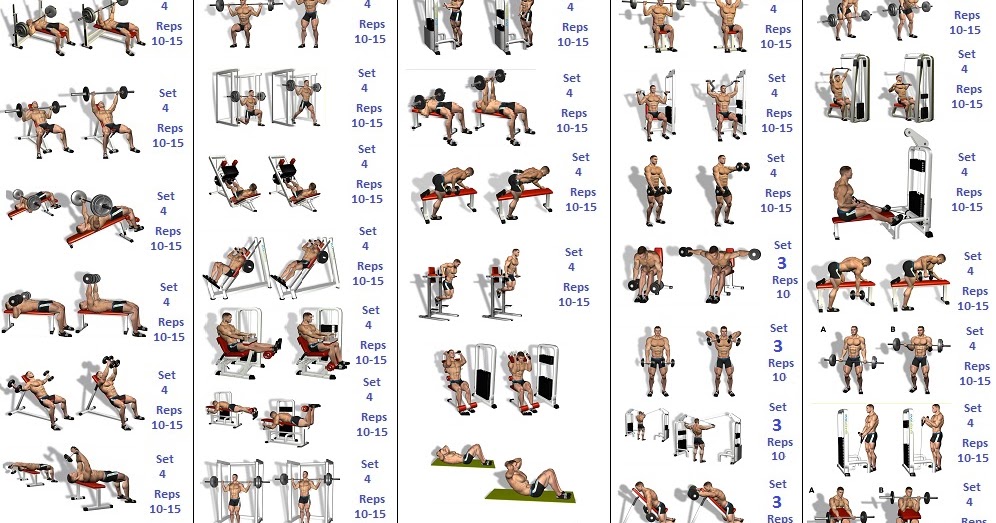 Best Diet Plans For Body Building Best Diet Plans For Body Building