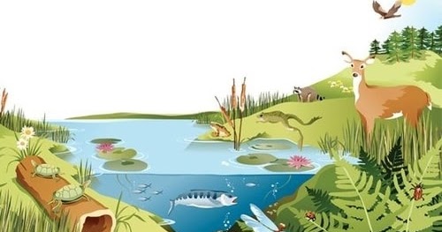 Ekosistem Buatan Meliputi Karakteristik Tujuan Manfaat Dan Contohnya Lengkap Ilmuips My Id Materi Belajar Gratis