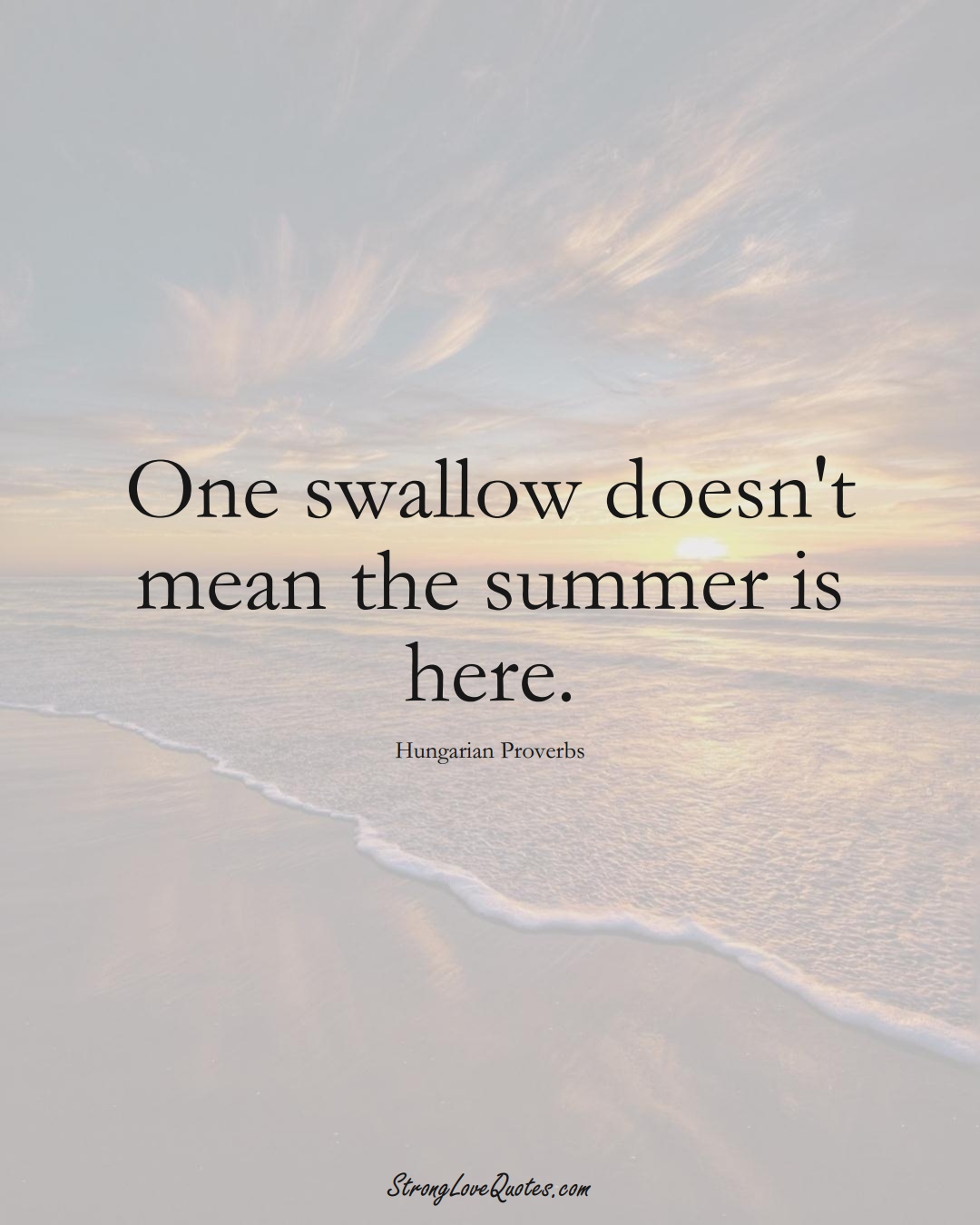 One swallow doesn't mean the summer is here. (Hungarian Sayings);  #EuropeanSayings